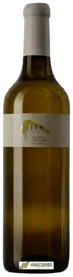 Cave Ardévaz - Pa&iumlen