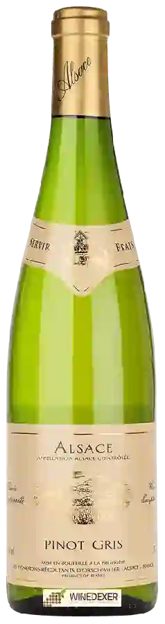 Cave Vinicole Les Faîtières - Orschwiller-Kintzheim - Pinot Gris Cave Vinicole Les Faîtières - Orschwiller-Kintzheim - Pinot Gris