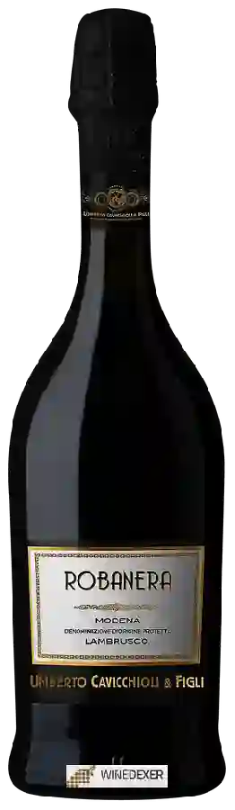 Winery Cavicchioli - Lambrusco di Modena Robanera