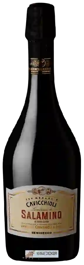 Winery Cavicchioli - Lambrusco Salamino di Santa Croce Semisecco Winery Cavicchioli - Lambrusco Salamino di Santa Croce Semisecco