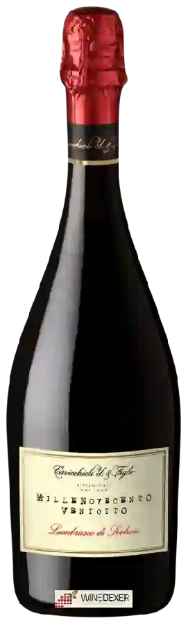Winery Cavicchioli - Millenovecento Ventotto Lambrusco di Sorbara