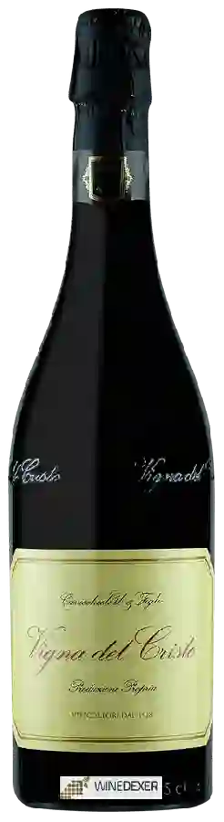 Winery Cavicchioli - Vigna Del Cristo