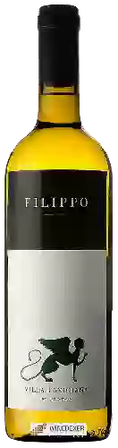 Winery Villa Caviciana - Filippo