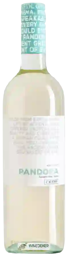 Winery Cavino - Pandora White Winery Cavino - Pandora White