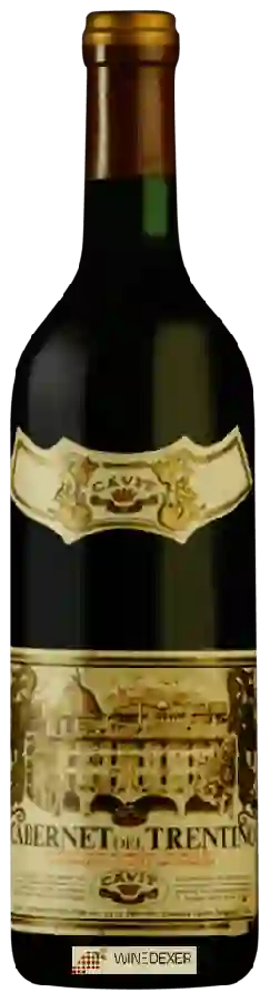 Winery Cavit - Cabernet Winery Cavit - Cabernet