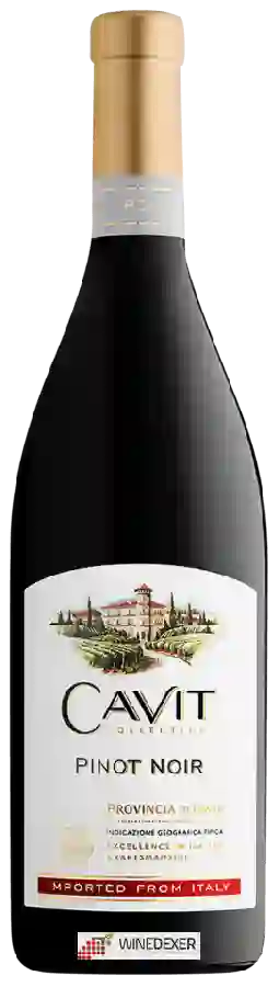 Winery Cavit - Collection Pinot Noir Winery Cavit - Collection Pinot Noir