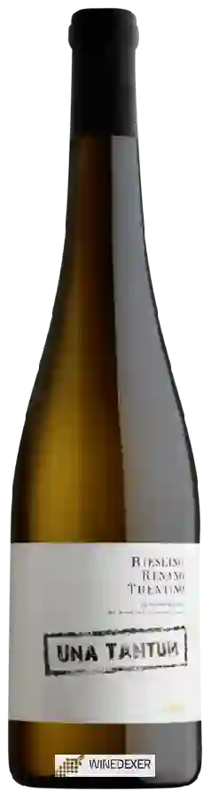 Winery Cavit - Una Tantum Riesling Renano