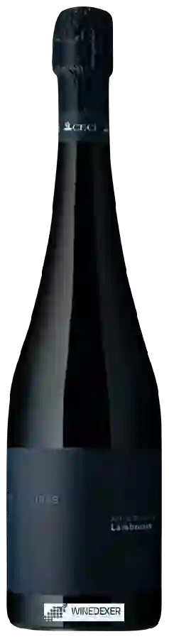 Winery Ceci - Antico Bruscone Le Terre dei Farnese Winery Ceci - Antico Bruscone Le Terre dei Farnese