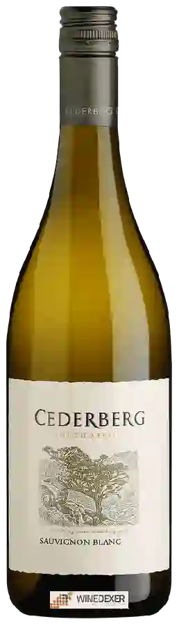 Winery Cederberg - Sauvignon Blanc Winery Cederberg - Sauvignon Blanc