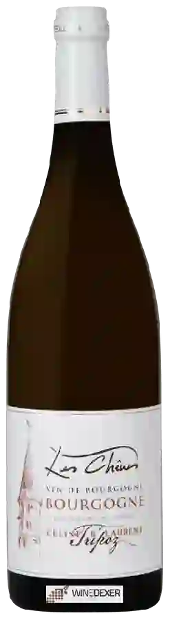 Winery Celine & Laurent Tripoz - Les Chênes Bourgogne
