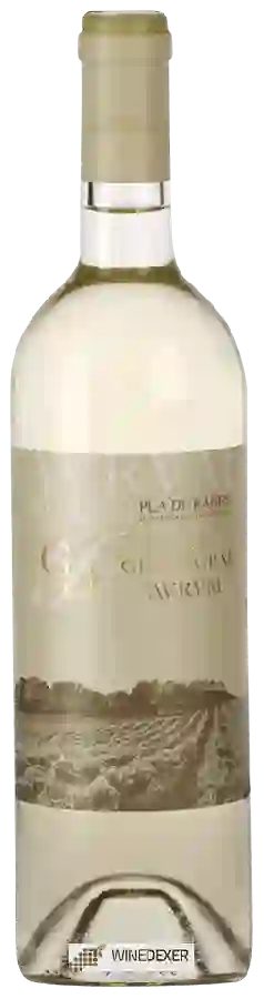 Winery Celler Grau i Grau - Jaume Avrvm Blanc