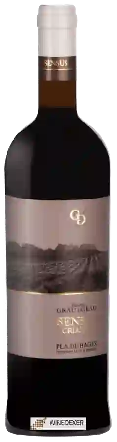 Winery Celler Grau i Grau - Jaume Sensvs Criança