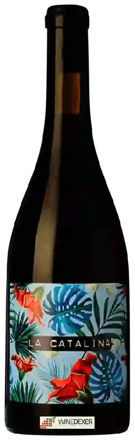 Winery Vall Llach - La Catalina Winery Vall Llach - La Catalina