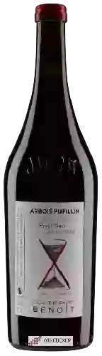 Winery Cellier Saint Benoit - Pinot Noir Courbes Raies Arbois Pupillin