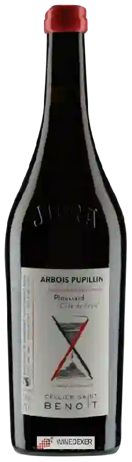 Winery Cellier Saint Benoit - Ploussard Côte de Feule Arbois Pupillin Winery Cellier Saint Benoit - Ploussard Côte de Feule Arbois Pupillin