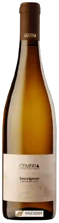 Winery Cembra - Sauvignon
