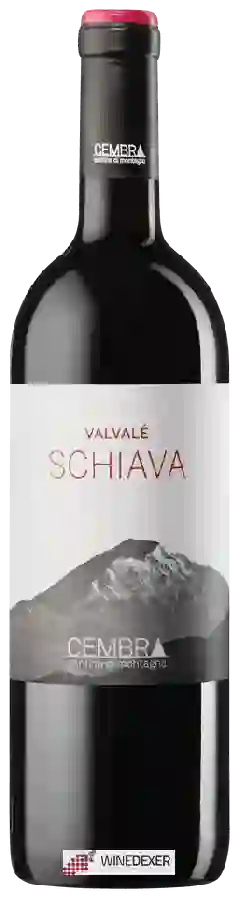 Winery Cembra - Valvalé Schiava