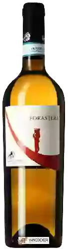 Winery Cenatiempo - Forastera