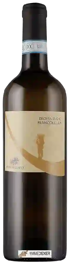 Winery Cenatiempo - Ischia Biancolella Winery Cenatiempo - Ischia Biancolella