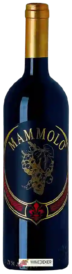 Winery Cennatoio - Mammolo