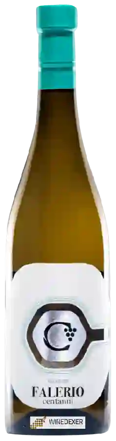 Winery Centanni - Falerio