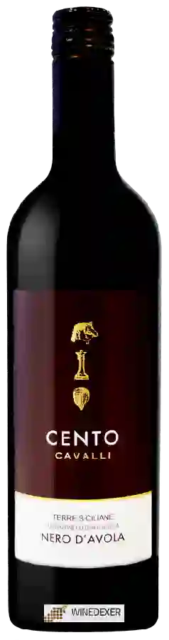 Winery Cento Cavalli - Nero d'Avola Winery Cento Cavalli - Nero d'Avola