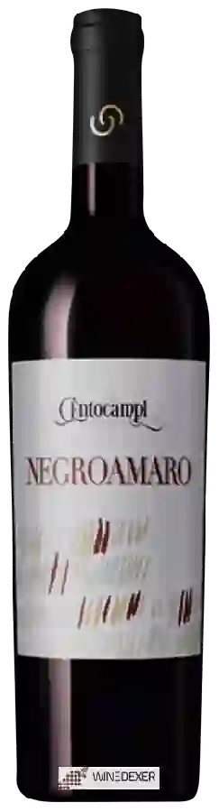 Winery Centocampi - Negroamaro Winery Centocampi - Negroamaro