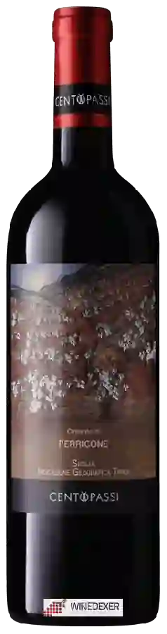 Winery Centopassi - Cimento di Perricone