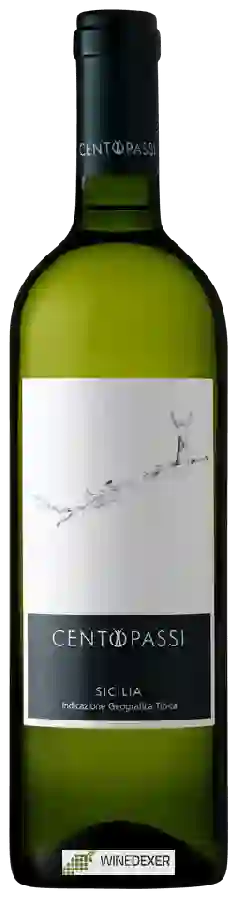 Winery Centopassi - Bianco