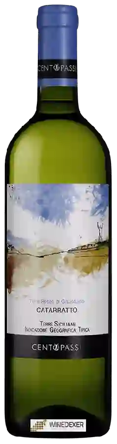 Winery Centopassi - Terre Rosse di Giabbascio Catarratto Winery Centopassi - Terre Rosse di Giabbascio Catarratto