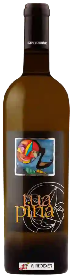 Winery Centorame - Tua Pina