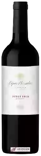 Winery Cepas Privadas - Pinot Noir