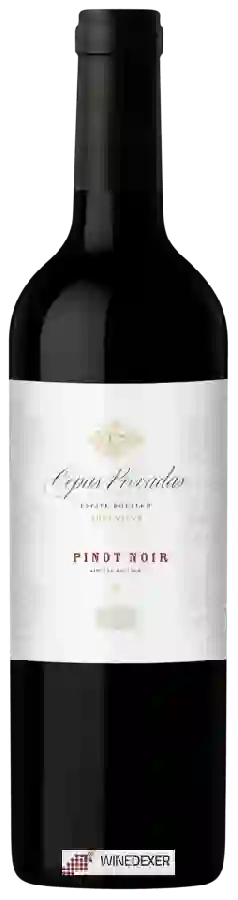 Winery Cepas Privadas - Pinot Noir Winery Cepas Privadas - Pinot Noir