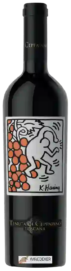 Winery Tenuta di Ceppaiano - K.Haring