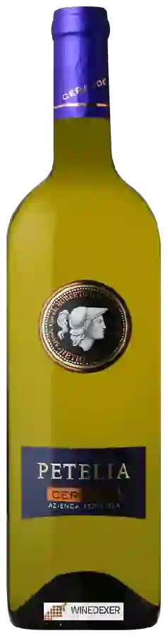 Winery Ceraudo - Petelia