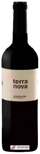 Winery Cercavins - Terra Nova