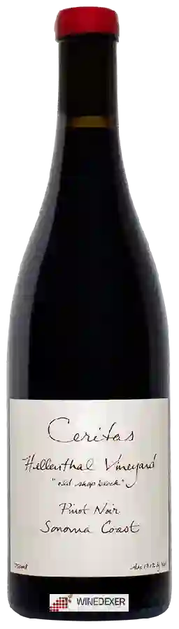 Winery Ceritas - Hellenthal Vineyard Winery Ceritas - Hellenthal Vineyard