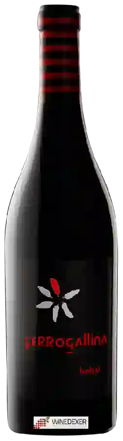 Winery Cerro Gallina - Bobal