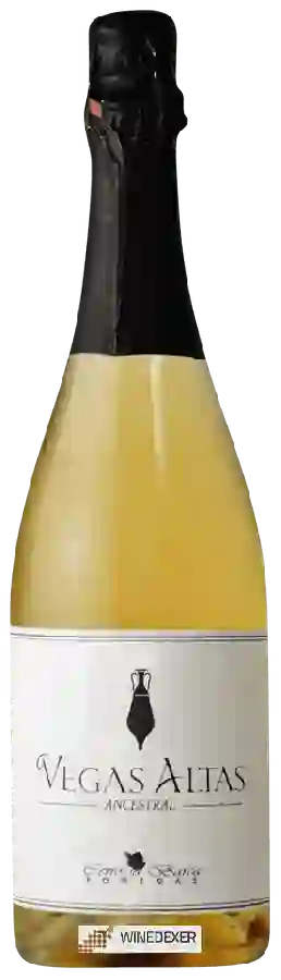 Bodegas Cerro La Barca - Vegas Altas Ancestral Bodegas Cerro La Barca - Vegas Altas Ancestral