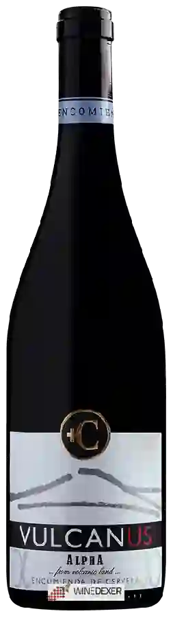 Winery Encomienda de Cervera - Vulcanus Alpha