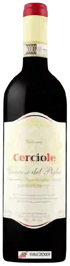 Winery Cantina del Piglio - Cerciole