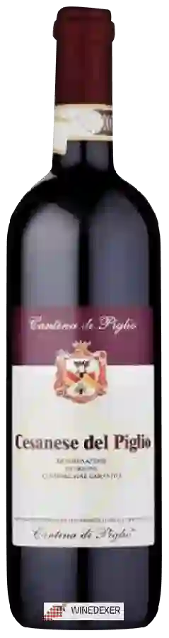 Winery Cantina del Piglio - Cesanese del Piglio Winery Cantina del Piglio - Cesanese del Piglio
