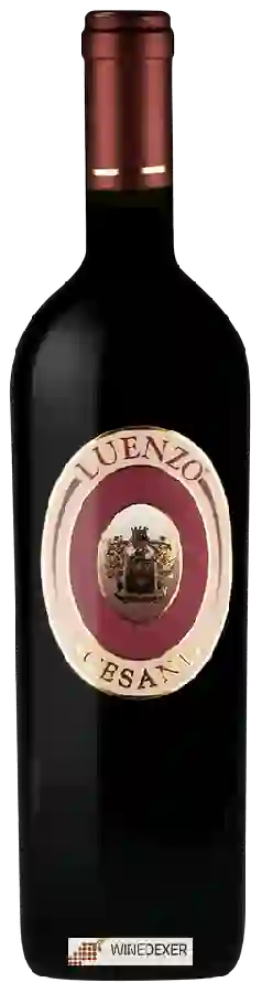 Winery Cesani - Luenzo