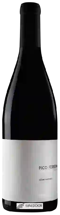 Winery César Márquez - Pico Ferreira