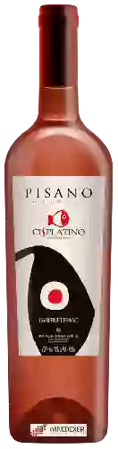 Winery Pisano - Cisplatino Cabernet Franc Rosé