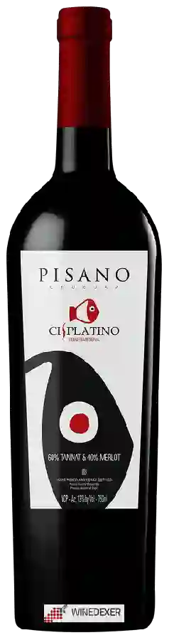 Winery Pisano - Cisplatino Tannat - Merlot