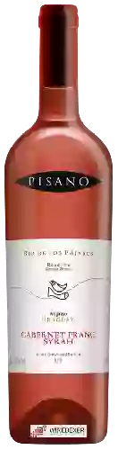 Winery Pisano - Rio de Los Pájaros Reserva Cabernet Franc - Syrah