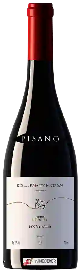 Winery Pisano - Rio de Los P&aacutejaros Reserve Pinot Noir