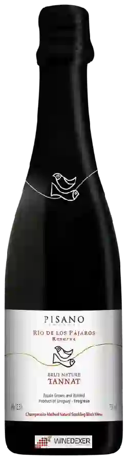 Winery Pisano - Rio de Los Pájaros Reserve Tannat Brut Nature
