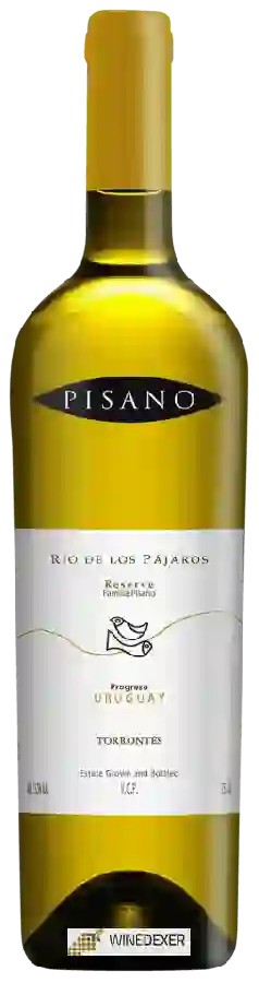 Winery Pisano - Rio de Los Pájaros Reserve Torrontés Winery Pisano - Rio de Los Pájaros Reserve Torrontés